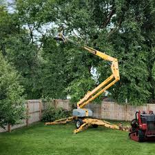 Best Lawn Pest Prevention  in Rutledge, TN