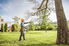 Best Hazardous Tree Removal  in Rutledge, TN
