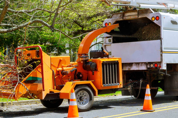 Rutledge, TN Tree Removal Company