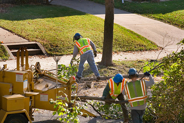 Best Tree Mulching  in Rutledge, TN